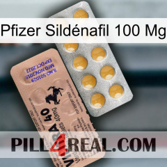 Pfizer Sildénafil 100 Mg 41